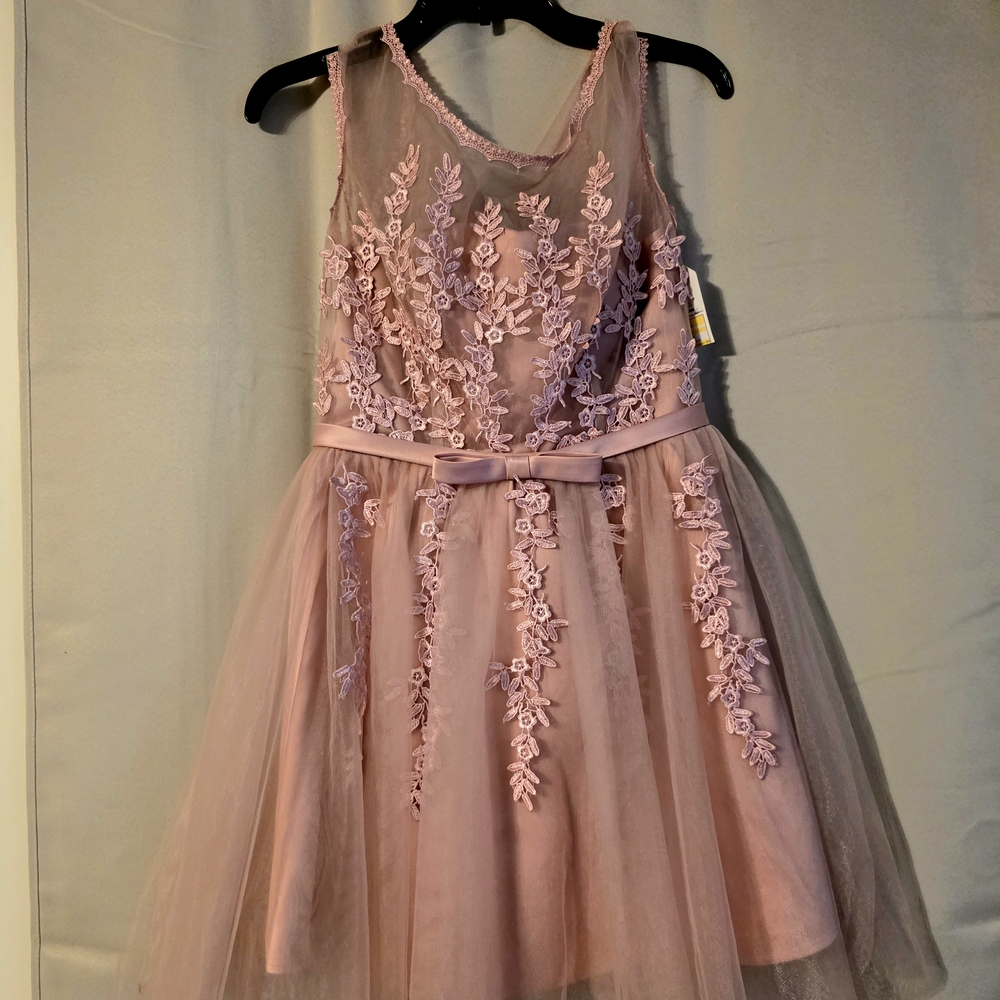 BLUSH Floral HOMECOMING DRESS /PARTY DRESS